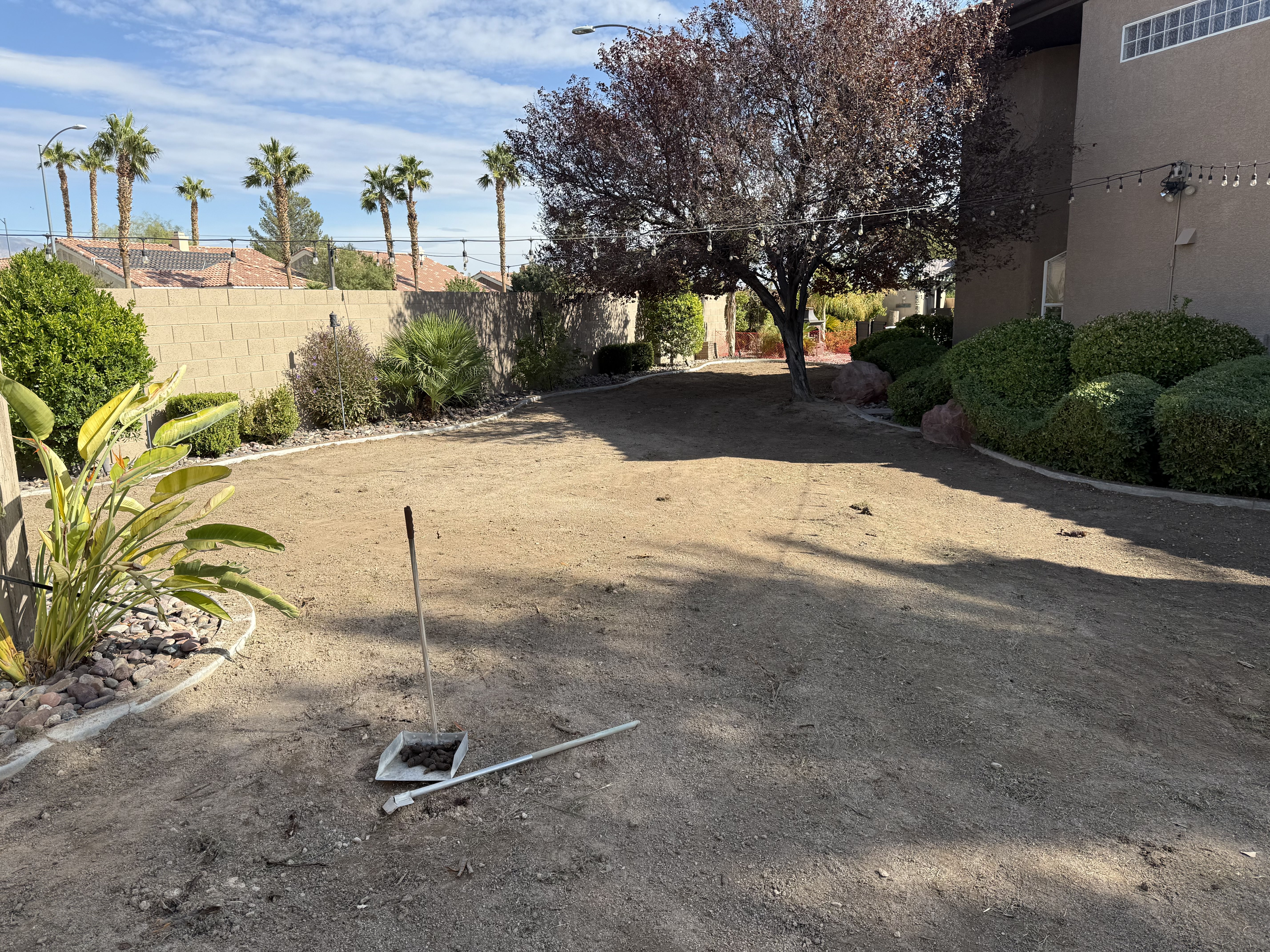 After: completed synthetic turf backyard transformation in Las Vegas